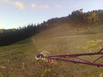 Spraying Lime small